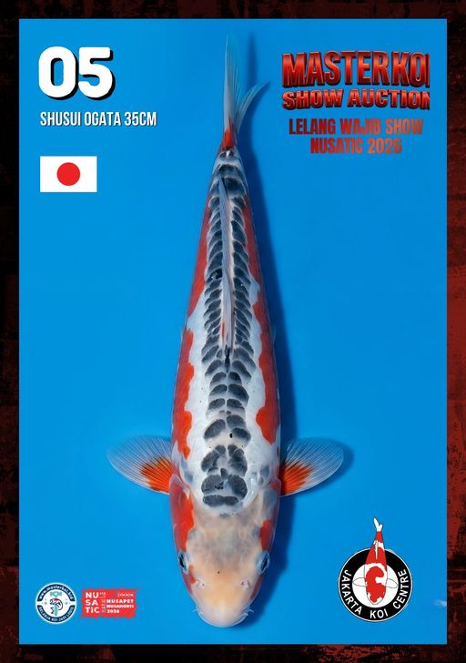 Lelang Koi Online, Jual Beli Ikan Koi, Pusat Jual Beli Koi, Info Lelang Koi Hari Ini, Platform Jual Beli Koi, Jual Beli Ikan Koi Online, Marketplace Ikan Koi, Jual Koi Terbaik, Tempat Beli Koi Berkualitas, Pasar Ikan Koi Online Terpercaya, Penjual Ikan Koi Terpercaya, Beli Koi Hias Online, Ikan Koi untuk Dijual, Koi Kualitas Terbaik, Toko Online Ikan Koi, Koi Hias Untuk Dijual, Jual Beli Ikan Koi Lokal, Koi Indonesia Online, Pusat Jual Beli Koi Terbesar