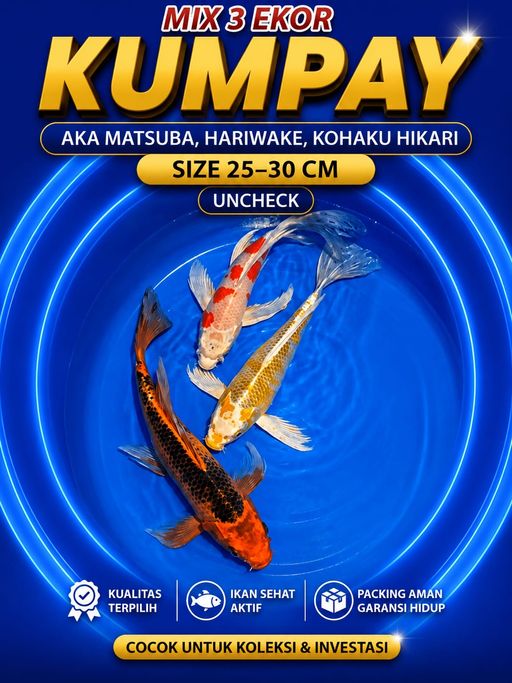 Lelang Koi Online, Jual Beli Ikan Koi, Pusat Jual Beli Koi, Info Lelang Koi Hari Ini, Platform Jual Beli Koi, Jual Beli Ikan Koi Online, Marketplace Ikan Koi, Jual Koi Terbaik, Tempat Beli Koi Berkualitas, Pasar Ikan Koi Online Terpercaya, Penjual Ikan Koi Terpercaya, Beli Koi Hias Online, Ikan Koi untuk Dijual, Koi Kualitas Terbaik, Toko Online Ikan Koi, Koi Hias Untuk Dijual, Jual Beli Ikan Koi Lokal, Koi Indonesia Online, Pusat Jual Beli Koi Terbesar