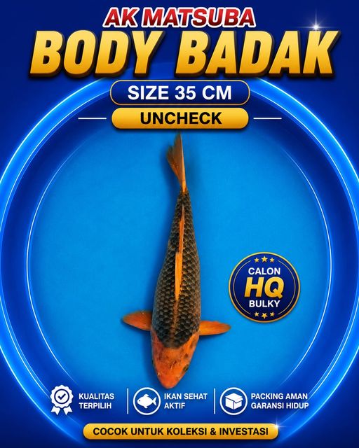 Lelang Koi Online, Jual Beli Ikan Koi, Pusat Jual Beli Koi, Info Lelang Koi Hari Ini, Platform Jual Beli Koi, Jual Beli Ikan Koi Online, Marketplace Ikan Koi, Jual Koi Terbaik, Tempat Beli Koi Berkualitas, Pasar Ikan Koi Online Terpercaya, Penjual Ikan Koi Terpercaya, Beli Koi Hias Online, Ikan Koi untuk Dijual, Koi Kualitas Terbaik, Toko Online Ikan Koi, Koi Hias Untuk Dijual, Jual Beli Ikan Koi Lokal, Koi Indonesia Online, Pusat Jual Beli Koi Terbesar