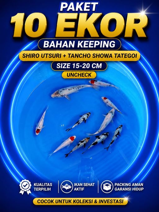 Lelang Koi Online, Jual Beli Ikan Koi, Pusat Jual Beli Koi, Info Lelang Koi Hari Ini, Platform Jual Beli Koi, Jual Beli Ikan Koi Online, Marketplace Ikan Koi, Jual Koi Terbaik, Tempat Beli Koi Berkualitas, Pasar Ikan Koi Online Terpercaya, Penjual Ikan Koi Terpercaya, Beli Koi Hias Online, Ikan Koi untuk Dijual, Koi Kualitas Terbaik, Toko Online Ikan Koi, Koi Hias Untuk Dijual, Jual Beli Ikan Koi Lokal, Koi Indonesia Online, Pusat Jual Beli Koi Terbesar