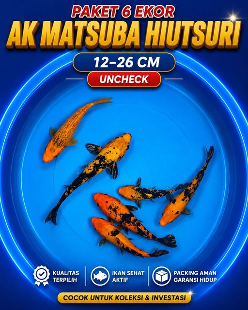 Lelang Koi Online, Jual Beli Ikan Koi, Pusat Jual Beli Koi, Info Lelang Koi Hari Ini, Platform Jual Beli Koi, Jual Beli Ikan Koi Online, Marketplace Ikan Koi, Jual Koi Terbaik, Tempat Beli Koi Berkualitas, Pasar Ikan Koi Online Terpercaya, Penjual Ikan Koi Terpercaya, Beli Koi Hias Online, Ikan Koi untuk Dijual, Koi Kualitas Terbaik, Toko Online Ikan Koi, Koi Hias Untuk Dijual, Jual Beli Ikan Koi Lokal, Koi Indonesia Online, Pusat Jual Beli Koi Terbesar