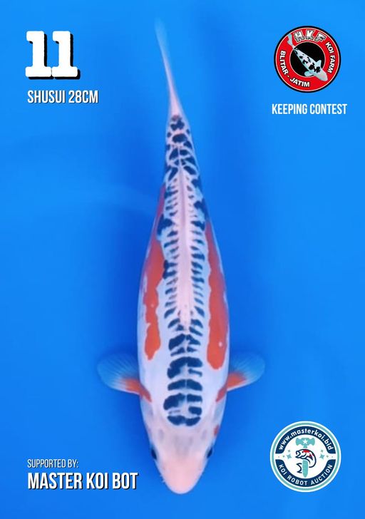 Lelang Koi Online, Jual Beli Ikan Koi, Pusat Jual Beli Koi, Info Lelang Koi Hari Ini, Platform Jual Beli Koi, Jual Beli Ikan Koi Online, Marketplace Ikan Koi, Jual Koi Terbaik, Tempat Beli Koi Berkualitas, Pasar Ikan Koi Online Terpercaya, Penjual Ikan Koi Terpercaya, Beli Koi Hias Online, Ikan Koi untuk Dijual, Koi Kualitas Terbaik, Toko Online Ikan Koi, Koi Hias Untuk Dijual, Jual Beli Ikan Koi Lokal, Koi Indonesia Online, Pusat Jual Beli Koi Terbesar