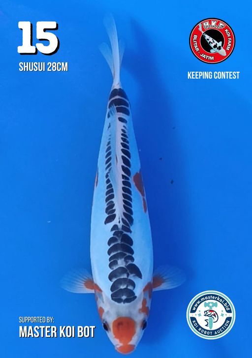 Lelang Koi Online, Jual Beli Ikan Koi, Pusat Jual Beli Koi, Info Lelang Koi Hari Ini, Platform Jual Beli Koi, Jual Beli Ikan Koi Online, Marketplace Ikan Koi, Jual Koi Terbaik, Tempat Beli Koi Berkualitas, Pasar Ikan Koi Online Terpercaya, Penjual Ikan Koi Terpercaya, Beli Koi Hias Online, Ikan Koi untuk Dijual, Koi Kualitas Terbaik, Toko Online Ikan Koi, Koi Hias Untuk Dijual, Jual Beli Ikan Koi Lokal, Koi Indonesia Online, Pusat Jual Beli Koi Terbesar