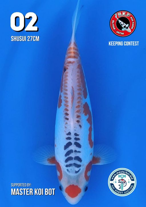 Lelang Koi Online, Jual Beli Ikan Koi, Pusat Jual Beli Koi, Info Lelang Koi Hari Ini, Platform Jual Beli Koi, Jual Beli Ikan Koi Online, Marketplace Ikan Koi, Jual Koi Terbaik, Tempat Beli Koi Berkualitas, Pasar Ikan Koi Online Terpercaya, Penjual Ikan Koi Terpercaya, Beli Koi Hias Online, Ikan Koi untuk Dijual, Koi Kualitas Terbaik, Toko Online Ikan Koi, Koi Hias Untuk Dijual, Jual Beli Ikan Koi Lokal, Koi Indonesia Online, Pusat Jual Beli Koi Terbesar