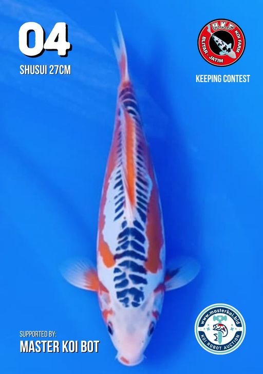 Lelang Koi Online, Jual Beli Ikan Koi, Pusat Jual Beli Koi, Info Lelang Koi Hari Ini, Platform Jual Beli Koi, Jual Beli Ikan Koi Online, Marketplace Ikan Koi, Jual Koi Terbaik, Tempat Beli Koi Berkualitas, Pasar Ikan Koi Online Terpercaya, Penjual Ikan Koi Terpercaya, Beli Koi Hias Online, Ikan Koi untuk Dijual, Koi Kualitas Terbaik, Toko Online Ikan Koi, Koi Hias Untuk Dijual, Jual Beli Ikan Koi Lokal, Koi Indonesia Online, Pusat Jual Beli Koi Terbesar