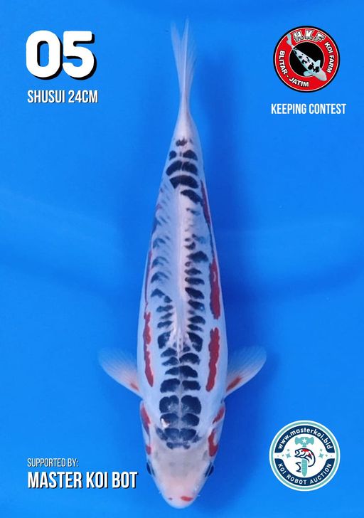 Lelang Koi Online, Jual Beli Ikan Koi, Pusat Jual Beli Koi, Info Lelang Koi Hari Ini, Platform Jual Beli Koi, Jual Beli Ikan Koi Online, Marketplace Ikan Koi, Jual Koi Terbaik, Tempat Beli Koi Berkualitas, Pasar Ikan Koi Online Terpercaya, Penjual Ikan Koi Terpercaya, Beli Koi Hias Online, Ikan Koi untuk Dijual, Koi Kualitas Terbaik, Toko Online Ikan Koi, Koi Hias Untuk Dijual, Jual Beli Ikan Koi Lokal, Koi Indonesia Online, Pusat Jual Beli Koi Terbesar