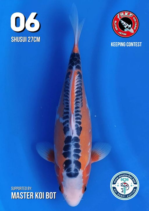Lelang Koi Online, Jual Beli Ikan Koi, Pusat Jual Beli Koi, Info Lelang Koi Hari Ini, Platform Jual Beli Koi, Jual Beli Ikan Koi Online, Marketplace Ikan Koi, Jual Koi Terbaik, Tempat Beli Koi Berkualitas, Pasar Ikan Koi Online Terpercaya, Penjual Ikan Koi Terpercaya, Beli Koi Hias Online, Ikan Koi untuk Dijual, Koi Kualitas Terbaik, Toko Online Ikan Koi, Koi Hias Untuk Dijual, Jual Beli Ikan Koi Lokal, Koi Indonesia Online, Pusat Jual Beli Koi Terbesar