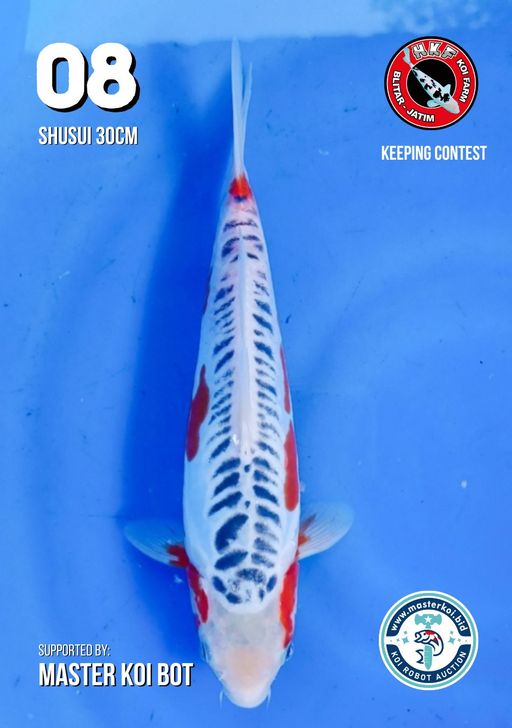 Lelang Koi Online, Jual Beli Ikan Koi, Pusat Jual Beli Koi, Info Lelang Koi Hari Ini, Platform Jual Beli Koi, Jual Beli Ikan Koi Online, Marketplace Ikan Koi, Jual Koi Terbaik, Tempat Beli Koi Berkualitas, Pasar Ikan Koi Online Terpercaya, Penjual Ikan Koi Terpercaya, Beli Koi Hias Online, Ikan Koi untuk Dijual, Koi Kualitas Terbaik, Toko Online Ikan Koi, Koi Hias Untuk Dijual, Jual Beli Ikan Koi Lokal, Koi Indonesia Online, Pusat Jual Beli Koi Terbesar