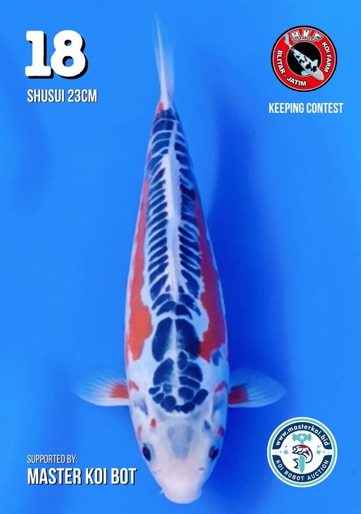 Lelang Koi Online, Jual Beli Ikan Koi, Pusat Jual Beli Koi, Info Lelang Koi Hari Ini, Platform Jual Beli Koi, Jual Beli Ikan Koi Online, Marketplace Ikan Koi, Jual Koi Terbaik, Tempat Beli Koi Berkualitas, Pasar Ikan Koi Online Terpercaya, Penjual Ikan Koi Terpercaya, Beli Koi Hias Online, Ikan Koi untuk Dijual, Koi Kualitas Terbaik, Toko Online Ikan Koi, Koi Hias Untuk Dijual, Jual Beli Ikan Koi Lokal, Koi Indonesia Online, Pusat Jual Beli Koi Terbesar