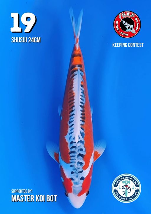 Lelang Koi Online, Jual Beli Ikan Koi, Pusat Jual Beli Koi, Info Lelang Koi Hari Ini, Platform Jual Beli Koi, Jual Beli Ikan Koi Online, Marketplace Ikan Koi, Jual Koi Terbaik, Tempat Beli Koi Berkualitas, Pasar Ikan Koi Online Terpercaya, Penjual Ikan Koi Terpercaya, Beli Koi Hias Online, Ikan Koi untuk Dijual, Koi Kualitas Terbaik, Toko Online Ikan Koi, Koi Hias Untuk Dijual, Jual Beli Ikan Koi Lokal, Koi Indonesia Online, Pusat Jual Beli Koi Terbesar