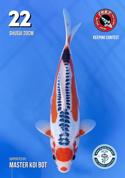 Lelang Koi Online, Jual Beli Ikan Koi, Pusat Jual Beli Koi, Info Lelang Koi Hari Ini, Platform Jual Beli Koi, Jual Beli Ikan Koi Online, Marketplace Ikan Koi, Jual Koi Terbaik, Tempat Beli Koi Berkualitas, Pasar Ikan Koi Online Terpercaya, Penjual Ikan Koi Terpercaya, Beli Koi Hias Online, Ikan Koi untuk Dijual, Koi Kualitas Terbaik, Toko Online Ikan Koi, Koi Hias Untuk Dijual, Jual Beli Ikan Koi Lokal, Koi Indonesia Online, Pusat Jual Beli Koi Terbesar