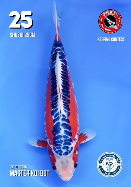 Lelang Koi Online, Jual Beli Ikan Koi, Pusat Jual Beli Koi, Info Lelang Koi Hari Ini, Platform Jual Beli Koi, Jual Beli Ikan Koi Online, Marketplace Ikan Koi, Jual Koi Terbaik, Tempat Beli Koi Berkualitas, Pasar Ikan Koi Online Terpercaya, Penjual Ikan Koi Terpercaya, Beli Koi Hias Online, Ikan Koi untuk Dijual, Koi Kualitas Terbaik, Toko Online Ikan Koi, Koi Hias Untuk Dijual, Jual Beli Ikan Koi Lokal, Koi Indonesia Online, Pusat Jual Beli Koi Terbesar