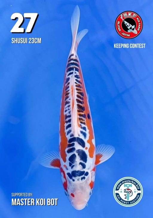Lelang Koi Online, Jual Beli Ikan Koi, Pusat Jual Beli Koi, Info Lelang Koi Hari Ini, Platform Jual Beli Koi, Jual Beli Ikan Koi Online, Marketplace Ikan Koi, Jual Koi Terbaik, Tempat Beli Koi Berkualitas, Pasar Ikan Koi Online Terpercaya, Penjual Ikan Koi Terpercaya, Beli Koi Hias Online, Ikan Koi untuk Dijual, Koi Kualitas Terbaik, Toko Online Ikan Koi, Koi Hias Untuk Dijual, Jual Beli Ikan Koi Lokal, Koi Indonesia Online, Pusat Jual Beli Koi Terbesar