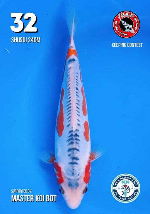 Lelang Koi Online, Jual Beli Ikan Koi, Pusat Jual Beli Koi, Info Lelang Koi Hari Ini, Platform Jual Beli Koi, Jual Beli Ikan Koi Online, Marketplace Ikan Koi, Jual Koi Terbaik, Tempat Beli Koi Berkualitas, Pasar Ikan Koi Online Terpercaya, Penjual Ikan Koi Terpercaya, Beli Koi Hias Online, Ikan Koi untuk Dijual, Koi Kualitas Terbaik, Toko Online Ikan Koi, Koi Hias Untuk Dijual, Jual Beli Ikan Koi Lokal, Koi Indonesia Online, Pusat Jual Beli Koi Terbesar