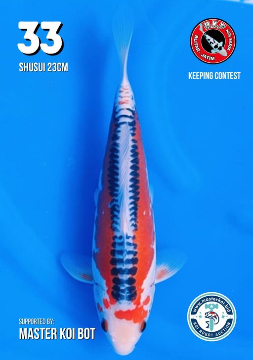 Lelang Koi Online, Jual Beli Ikan Koi, Pusat Jual Beli Koi, Info Lelang Koi Hari Ini, Platform Jual Beli Koi, Jual Beli Ikan Koi Online, Marketplace Ikan Koi, Jual Koi Terbaik, Tempat Beli Koi Berkualitas, Pasar Ikan Koi Online Terpercaya, Penjual Ikan Koi Terpercaya, Beli Koi Hias Online, Ikan Koi untuk Dijual, Koi Kualitas Terbaik, Toko Online Ikan Koi, Koi Hias Untuk Dijual, Jual Beli Ikan Koi Lokal, Koi Indonesia Online, Pusat Jual Beli Koi Terbesar
