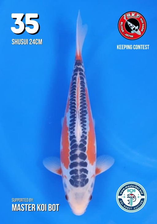 Lelang Koi Online, Jual Beli Ikan Koi, Pusat Jual Beli Koi, Info Lelang Koi Hari Ini, Platform Jual Beli Koi, Jual Beli Ikan Koi Online, Marketplace Ikan Koi, Jual Koi Terbaik, Tempat Beli Koi Berkualitas, Pasar Ikan Koi Online Terpercaya, Penjual Ikan Koi Terpercaya, Beli Koi Hias Online, Ikan Koi untuk Dijual, Koi Kualitas Terbaik, Toko Online Ikan Koi, Koi Hias Untuk Dijual, Jual Beli Ikan Koi Lokal, Koi Indonesia Online, Pusat Jual Beli Koi Terbesar