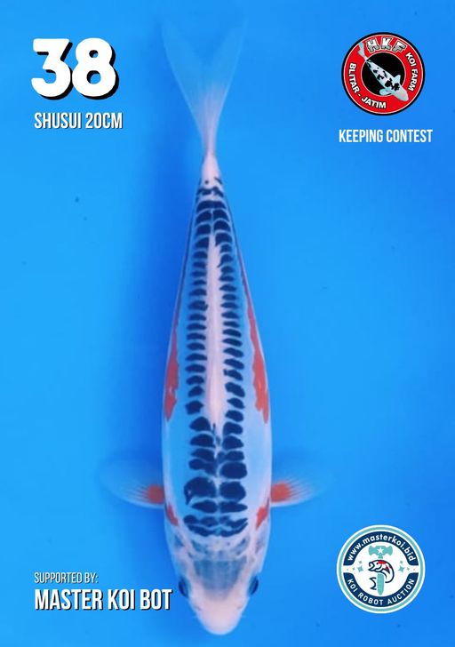 Lelang Koi Online, Jual Beli Ikan Koi, Pusat Jual Beli Koi, Info Lelang Koi Hari Ini, Platform Jual Beli Koi, Jual Beli Ikan Koi Online, Marketplace Ikan Koi, Jual Koi Terbaik, Tempat Beli Koi Berkualitas, Pasar Ikan Koi Online Terpercaya, Penjual Ikan Koi Terpercaya, Beli Koi Hias Online, Ikan Koi untuk Dijual, Koi Kualitas Terbaik, Toko Online Ikan Koi, Koi Hias Untuk Dijual, Jual Beli Ikan Koi Lokal, Koi Indonesia Online, Pusat Jual Beli Koi Terbesar