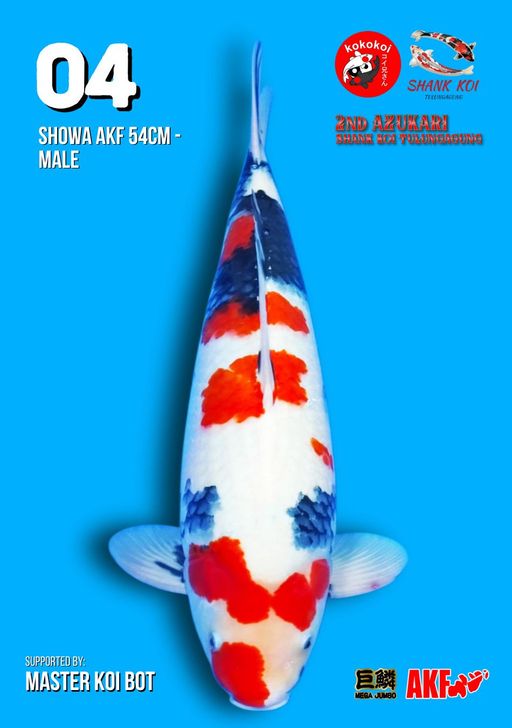 Lelang Koi Online, Jual Beli Ikan Koi, Pusat Jual Beli Koi, Info Lelang Koi Hari Ini, Platform Jual Beli Koi, Jual Beli Ikan Koi Online, Marketplace Ikan Koi, Jual Koi Terbaik, Tempat Beli Koi Berkualitas, Pasar Ikan Koi Online Terpercaya, Penjual Ikan Koi Terpercaya, Beli Koi Hias Online, Ikan Koi untuk Dijual, Koi Kualitas Terbaik, Toko Online Ikan Koi, Koi Hias Untuk Dijual, Jual Beli Ikan Koi Lokal, Koi Indonesia Online, Pusat Jual Beli Koi Terbesar