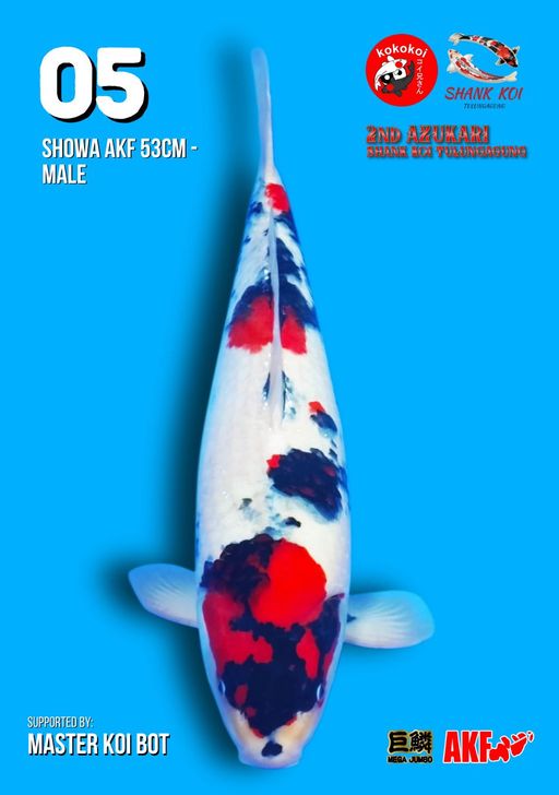 Lelang Koi Online, Jual Beli Ikan Koi, Pusat Jual Beli Koi, Info Lelang Koi Hari Ini, Platform Jual Beli Koi, Jual Beli Ikan Koi Online, Marketplace Ikan Koi, Jual Koi Terbaik, Tempat Beli Koi Berkualitas, Pasar Ikan Koi Online Terpercaya, Penjual Ikan Koi Terpercaya, Beli Koi Hias Online, Ikan Koi untuk Dijual, Koi Kualitas Terbaik, Toko Online Ikan Koi, Koi Hias Untuk Dijual, Jual Beli Ikan Koi Lokal, Koi Indonesia Online, Pusat Jual Beli Koi Terbesar