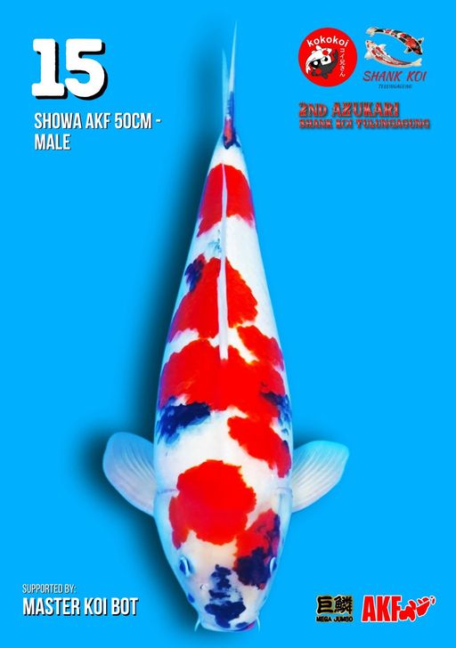 Lelang Koi Online, Jual Beli Ikan Koi, Pusat Jual Beli Koi, Info Lelang Koi Hari Ini, Platform Jual Beli Koi, Jual Beli Ikan Koi Online, Marketplace Ikan Koi, Jual Koi Terbaik, Tempat Beli Koi Berkualitas, Pasar Ikan Koi Online Terpercaya, Penjual Ikan Koi Terpercaya, Beli Koi Hias Online, Ikan Koi untuk Dijual, Koi Kualitas Terbaik, Toko Online Ikan Koi, Koi Hias Untuk Dijual, Jual Beli Ikan Koi Lokal, Koi Indonesia Online, Pusat Jual Beli Koi Terbesar