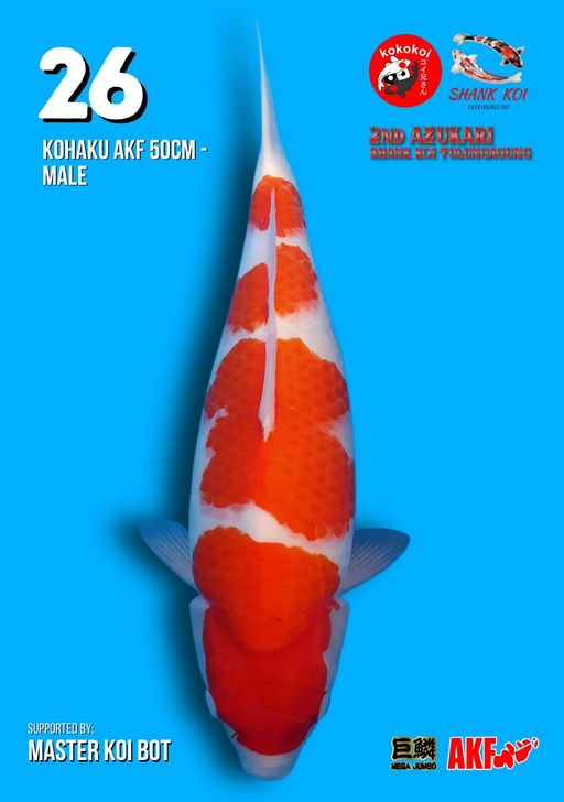 Lelang Koi Online, Jual Beli Ikan Koi, Pusat Jual Beli Koi, Info Lelang Koi Hari Ini, Platform Jual Beli Koi, Jual Beli Ikan Koi Online, Marketplace Ikan Koi, Jual Koi Terbaik, Tempat Beli Koi Berkualitas, Pasar Ikan Koi Online Terpercaya, Penjual Ikan Koi Terpercaya, Beli Koi Hias Online, Ikan Koi untuk Dijual, Koi Kualitas Terbaik, Toko Online Ikan Koi, Koi Hias Untuk Dijual, Jual Beli Ikan Koi Lokal, Koi Indonesia Online, Pusat Jual Beli Koi Terbesar