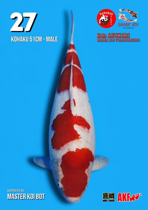 Lelang Koi Online, Jual Beli Ikan Koi, Pusat Jual Beli Koi, Info Lelang Koi Hari Ini, Platform Jual Beli Koi, Jual Beli Ikan Koi Online, Marketplace Ikan Koi, Jual Koi Terbaik, Tempat Beli Koi Berkualitas, Pasar Ikan Koi Online Terpercaya, Penjual Ikan Koi Terpercaya, Beli Koi Hias Online, Ikan Koi untuk Dijual, Koi Kualitas Terbaik, Toko Online Ikan Koi, Koi Hias Untuk Dijual, Jual Beli Ikan Koi Lokal, Koi Indonesia Online, Pusat Jual Beli Koi Terbesar