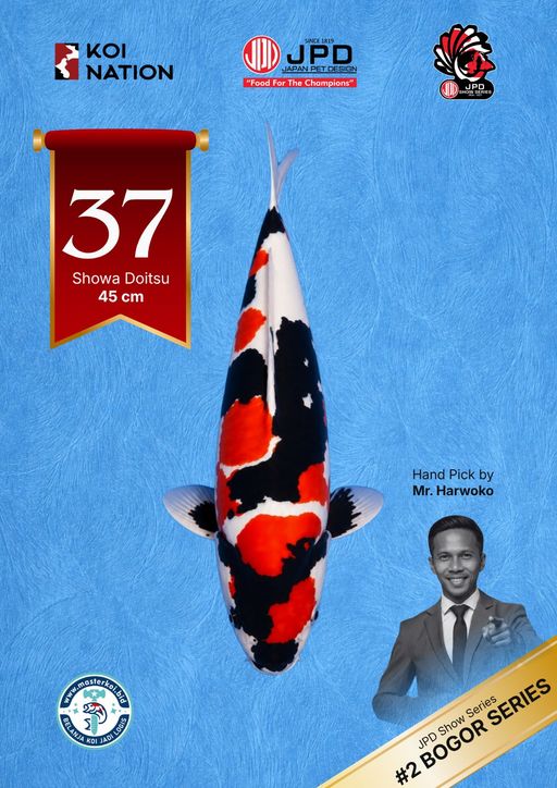 Lelang Koi Online, Jual Beli Ikan Koi, Pusat Jual Beli Koi, Info Lelang Koi Hari Ini, Platform Jual Beli Koi, Jual Beli Ikan Koi Online, Marketplace Ikan Koi, Jual Koi Terbaik, Tempat Beli Koi Berkualitas, Pasar Ikan Koi Online Terpercaya, Penjual Ikan Koi Terpercaya, Beli Koi Hias Online, Ikan Koi untuk Dijual, Koi Kualitas Terbaik, Toko Online Ikan Koi, Koi Hias Untuk Dijual, Jual Beli Ikan Koi Lokal, Koi Indonesia Online, Pusat Jual Beli Koi Terbesar