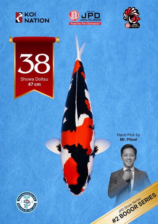 Lelang Koi Online, Jual Beli Ikan Koi, Pusat Jual Beli Koi, Info Lelang Koi Hari Ini, Platform Jual Beli Koi, Jual Beli Ikan Koi Online, Marketplace Ikan Koi, Jual Koi Terbaik, Tempat Beli Koi Berkualitas, Pasar Ikan Koi Online Terpercaya, Penjual Ikan Koi Terpercaya, Beli Koi Hias Online, Ikan Koi untuk Dijual, Koi Kualitas Terbaik, Toko Online Ikan Koi, Koi Hias Untuk Dijual, Jual Beli Ikan Koi Lokal, Koi Indonesia Online, Pusat Jual Beli Koi Terbesar