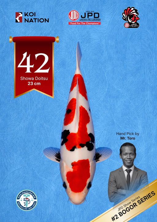 Lelang Koi Online, Jual Beli Ikan Koi, Pusat Jual Beli Koi, Info Lelang Koi Hari Ini, Platform Jual Beli Koi, Jual Beli Ikan Koi Online, Marketplace Ikan Koi, Jual Koi Terbaik, Tempat Beli Koi Berkualitas, Pasar Ikan Koi Online Terpercaya, Penjual Ikan Koi Terpercaya, Beli Koi Hias Online, Ikan Koi untuk Dijual, Koi Kualitas Terbaik, Toko Online Ikan Koi, Koi Hias Untuk Dijual, Jual Beli Ikan Koi Lokal, Koi Indonesia Online, Pusat Jual Beli Koi Terbesar