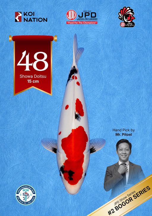 Lelang Koi Online, Jual Beli Ikan Koi, Pusat Jual Beli Koi, Info Lelang Koi Hari Ini, Platform Jual Beli Koi, Jual Beli Ikan Koi Online, Marketplace Ikan Koi, Jual Koi Terbaik, Tempat Beli Koi Berkualitas, Pasar Ikan Koi Online Terpercaya, Penjual Ikan Koi Terpercaya, Beli Koi Hias Online, Ikan Koi untuk Dijual, Koi Kualitas Terbaik, Toko Online Ikan Koi, Koi Hias Untuk Dijual, Jual Beli Ikan Koi Lokal, Koi Indonesia Online, Pusat Jual Beli Koi Terbesar