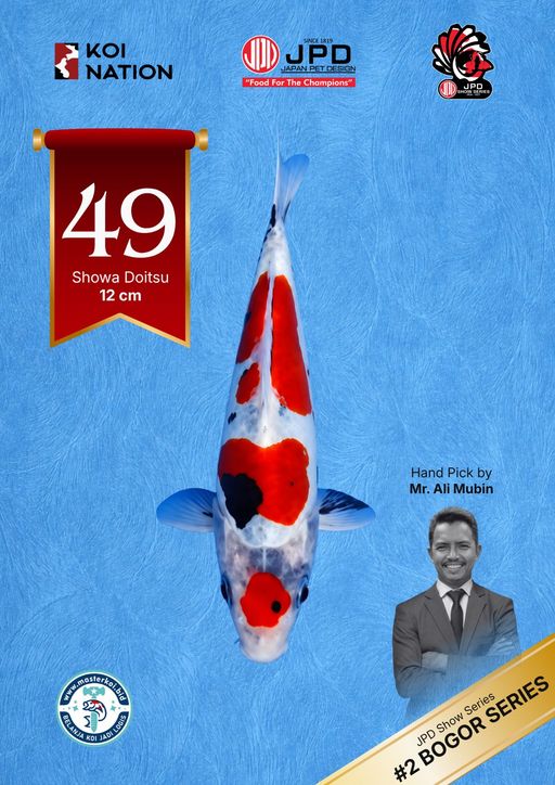 Lelang Koi Online, Jual Beli Ikan Koi, Pusat Jual Beli Koi, Info Lelang Koi Hari Ini, Platform Jual Beli Koi, Jual Beli Ikan Koi Online, Marketplace Ikan Koi, Jual Koi Terbaik, Tempat Beli Koi Berkualitas, Pasar Ikan Koi Online Terpercaya, Penjual Ikan Koi Terpercaya, Beli Koi Hias Online, Ikan Koi untuk Dijual, Koi Kualitas Terbaik, Toko Online Ikan Koi, Koi Hias Untuk Dijual, Jual Beli Ikan Koi Lokal, Koi Indonesia Online, Pusat Jual Beli Koi Terbesar