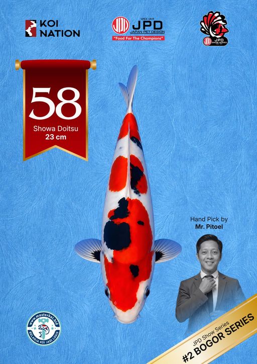 Lelang Koi Online, Jual Beli Ikan Koi, Pusat Jual Beli Koi, Info Lelang Koi Hari Ini, Platform Jual Beli Koi, Jual Beli Ikan Koi Online, Marketplace Ikan Koi, Jual Koi Terbaik, Tempat Beli Koi Berkualitas, Pasar Ikan Koi Online Terpercaya, Penjual Ikan Koi Terpercaya, Beli Koi Hias Online, Ikan Koi untuk Dijual, Koi Kualitas Terbaik, Toko Online Ikan Koi, Koi Hias Untuk Dijual, Jual Beli Ikan Koi Lokal, Koi Indonesia Online, Pusat Jual Beli Koi Terbesar