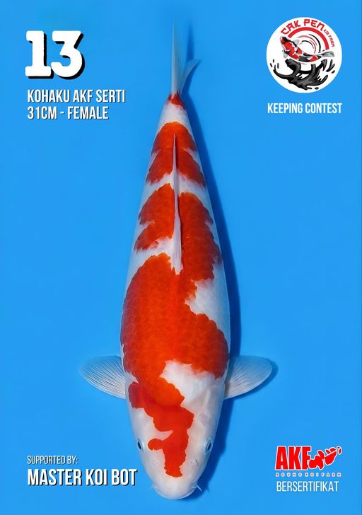 Lelang Koi Online, Jual Beli Ikan Koi, Pusat Jual Beli Koi, Info Lelang Koi Hari Ini, Platform Jual Beli Koi, Jual Beli Ikan Koi Online, Marketplace Ikan Koi, Jual Koi Terbaik, Tempat Beli Koi Berkualitas, Pasar Ikan Koi Online Terpercaya, Penjual Ikan Koi Terpercaya, Beli Koi Hias Online, Ikan Koi untuk Dijual, Koi Kualitas Terbaik, Toko Online Ikan Koi, Koi Hias Untuk Dijual, Jual Beli Ikan Koi Lokal, Koi Indonesia Online, Pusat Jual Beli Koi Terbesar