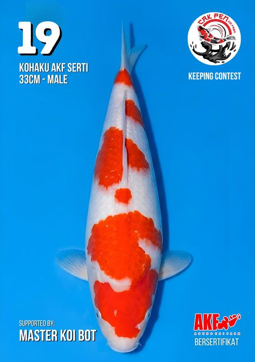 Lelang Koi Online, Jual Beli Ikan Koi, Pusat Jual Beli Koi, Info Lelang Koi Hari Ini, Platform Jual Beli Koi, Jual Beli Ikan Koi Online, Marketplace Ikan Koi, Jual Koi Terbaik, Tempat Beli Koi Berkualitas, Pasar Ikan Koi Online Terpercaya, Penjual Ikan Koi Terpercaya, Beli Koi Hias Online, Ikan Koi untuk Dijual, Koi Kualitas Terbaik, Toko Online Ikan Koi, Koi Hias Untuk Dijual, Jual Beli Ikan Koi Lokal, Koi Indonesia Online, Pusat Jual Beli Koi Terbesar