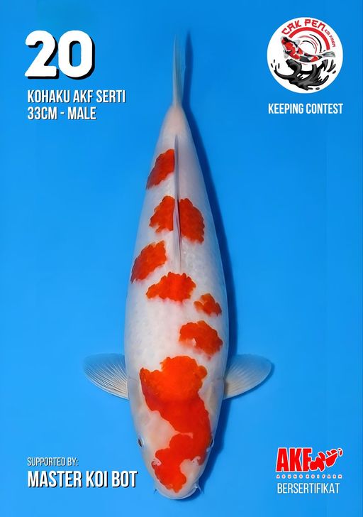 Lelang Koi Online, Jual Beli Ikan Koi, Pusat Jual Beli Koi, Info Lelang Koi Hari Ini, Platform Jual Beli Koi, Jual Beli Ikan Koi Online, Marketplace Ikan Koi, Jual Koi Terbaik, Tempat Beli Koi Berkualitas, Pasar Ikan Koi Online Terpercaya, Penjual Ikan Koi Terpercaya, Beli Koi Hias Online, Ikan Koi untuk Dijual, Koi Kualitas Terbaik, Toko Online Ikan Koi, Koi Hias Untuk Dijual, Jual Beli Ikan Koi Lokal, Koi Indonesia Online, Pusat Jual Beli Koi Terbesar