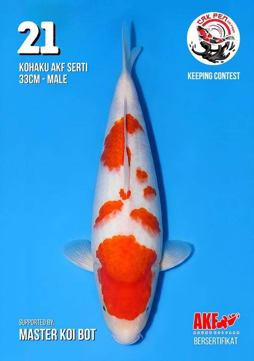 Lelang Koi Online, Jual Beli Ikan Koi, Pusat Jual Beli Koi, Info Lelang Koi Hari Ini, Platform Jual Beli Koi, Jual Beli Ikan Koi Online, Marketplace Ikan Koi, Jual Koi Terbaik, Tempat Beli Koi Berkualitas, Pasar Ikan Koi Online Terpercaya, Penjual Ikan Koi Terpercaya, Beli Koi Hias Online, Ikan Koi untuk Dijual, Koi Kualitas Terbaik, Toko Online Ikan Koi, Koi Hias Untuk Dijual, Jual Beli Ikan Koi Lokal, Koi Indonesia Online, Pusat Jual Beli Koi Terbesar