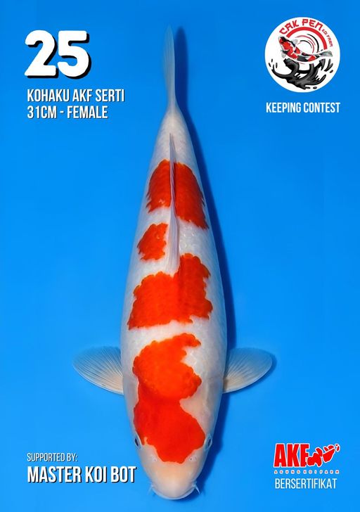 Lelang Koi Online, Jual Beli Ikan Koi, Pusat Jual Beli Koi, Info Lelang Koi Hari Ini, Platform Jual Beli Koi, Jual Beli Ikan Koi Online, Marketplace Ikan Koi, Jual Koi Terbaik, Tempat Beli Koi Berkualitas, Pasar Ikan Koi Online Terpercaya, Penjual Ikan Koi Terpercaya, Beli Koi Hias Online, Ikan Koi untuk Dijual, Koi Kualitas Terbaik, Toko Online Ikan Koi, Koi Hias Untuk Dijual, Jual Beli Ikan Koi Lokal, Koi Indonesia Online, Pusat Jual Beli Koi Terbesar