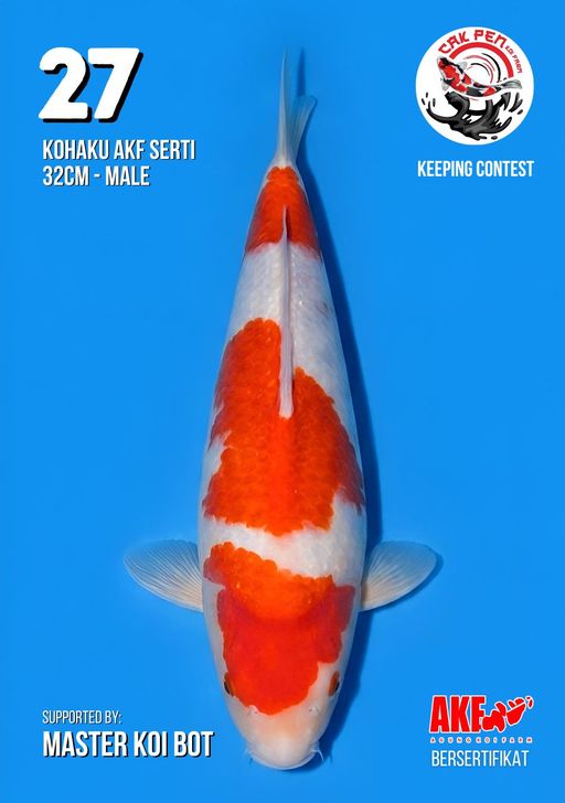 Lelang Koi Online, Jual Beli Ikan Koi, Pusat Jual Beli Koi, Info Lelang Koi Hari Ini, Platform Jual Beli Koi, Jual Beli Ikan Koi Online, Marketplace Ikan Koi, Jual Koi Terbaik, Tempat Beli Koi Berkualitas, Pasar Ikan Koi Online Terpercaya, Penjual Ikan Koi Terpercaya, Beli Koi Hias Online, Ikan Koi untuk Dijual, Koi Kualitas Terbaik, Toko Online Ikan Koi, Koi Hias Untuk Dijual, Jual Beli Ikan Koi Lokal, Koi Indonesia Online, Pusat Jual Beli Koi Terbesar