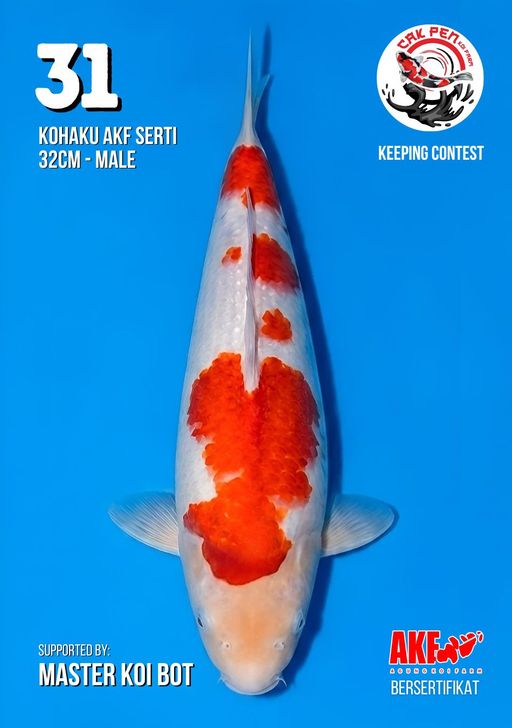 Lelang Koi Online, Jual Beli Ikan Koi, Pusat Jual Beli Koi, Info Lelang Koi Hari Ini, Platform Jual Beli Koi, Jual Beli Ikan Koi Online, Marketplace Ikan Koi, Jual Koi Terbaik, Tempat Beli Koi Berkualitas, Pasar Ikan Koi Online Terpercaya, Penjual Ikan Koi Terpercaya, Beli Koi Hias Online, Ikan Koi untuk Dijual, Koi Kualitas Terbaik, Toko Online Ikan Koi, Koi Hias Untuk Dijual, Jual Beli Ikan Koi Lokal, Koi Indonesia Online, Pusat Jual Beli Koi Terbesar