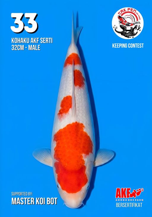 Lelang Koi Online, Jual Beli Ikan Koi, Pusat Jual Beli Koi, Info Lelang Koi Hari Ini, Platform Jual Beli Koi, Jual Beli Ikan Koi Online, Marketplace Ikan Koi, Jual Koi Terbaik, Tempat Beli Koi Berkualitas, Pasar Ikan Koi Online Terpercaya, Penjual Ikan Koi Terpercaya, Beli Koi Hias Online, Ikan Koi untuk Dijual, Koi Kualitas Terbaik, Toko Online Ikan Koi, Koi Hias Untuk Dijual, Jual Beli Ikan Koi Lokal, Koi Indonesia Online, Pusat Jual Beli Koi Terbesar