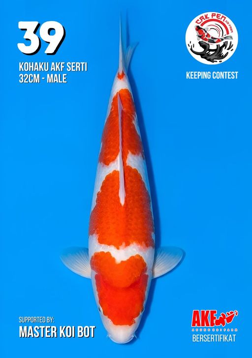 Lelang Koi Online, Jual Beli Ikan Koi, Pusat Jual Beli Koi, Info Lelang Koi Hari Ini, Platform Jual Beli Koi, Jual Beli Ikan Koi Online, Marketplace Ikan Koi, Jual Koi Terbaik, Tempat Beli Koi Berkualitas, Pasar Ikan Koi Online Terpercaya, Penjual Ikan Koi Terpercaya, Beli Koi Hias Online, Ikan Koi untuk Dijual, Koi Kualitas Terbaik, Toko Online Ikan Koi, Koi Hias Untuk Dijual, Jual Beli Ikan Koi Lokal, Koi Indonesia Online, Pusat Jual Beli Koi Terbesar
