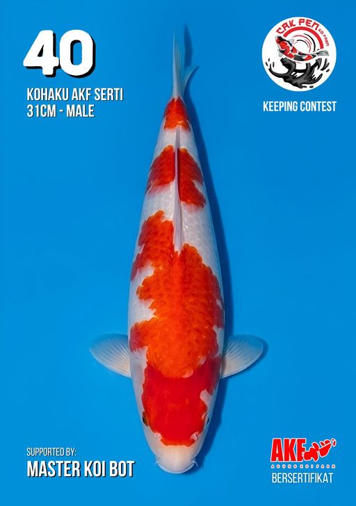 Lelang Koi Online, Jual Beli Ikan Koi, Pusat Jual Beli Koi, Info Lelang Koi Hari Ini, Platform Jual Beli Koi, Jual Beli Ikan Koi Online, Marketplace Ikan Koi, Jual Koi Terbaik, Tempat Beli Koi Berkualitas, Pasar Ikan Koi Online Terpercaya, Penjual Ikan Koi Terpercaya, Beli Koi Hias Online, Ikan Koi untuk Dijual, Koi Kualitas Terbaik, Toko Online Ikan Koi, Koi Hias Untuk Dijual, Jual Beli Ikan Koi Lokal, Koi Indonesia Online, Pusat Jual Beli Koi Terbesar