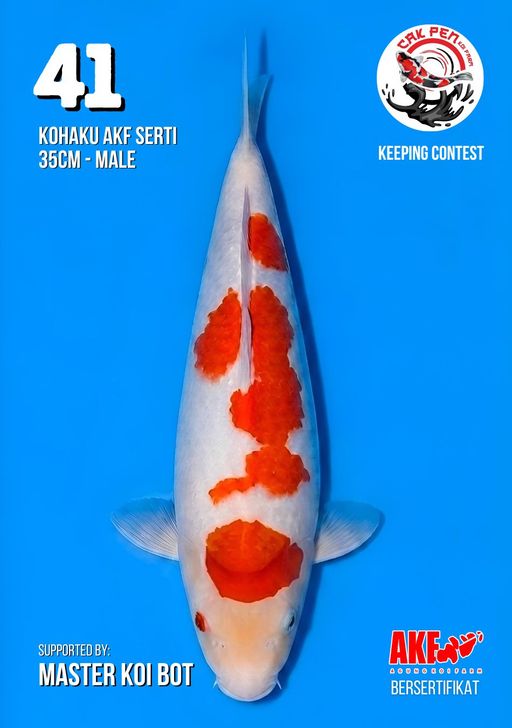 Lelang Koi Online, Jual Beli Ikan Koi, Pusat Jual Beli Koi, Info Lelang Koi Hari Ini, Platform Jual Beli Koi, Jual Beli Ikan Koi Online, Marketplace Ikan Koi, Jual Koi Terbaik, Tempat Beli Koi Berkualitas, Pasar Ikan Koi Online Terpercaya, Penjual Ikan Koi Terpercaya, Beli Koi Hias Online, Ikan Koi untuk Dijual, Koi Kualitas Terbaik, Toko Online Ikan Koi, Koi Hias Untuk Dijual, Jual Beli Ikan Koi Lokal, Koi Indonesia Online, Pusat Jual Beli Koi Terbesar