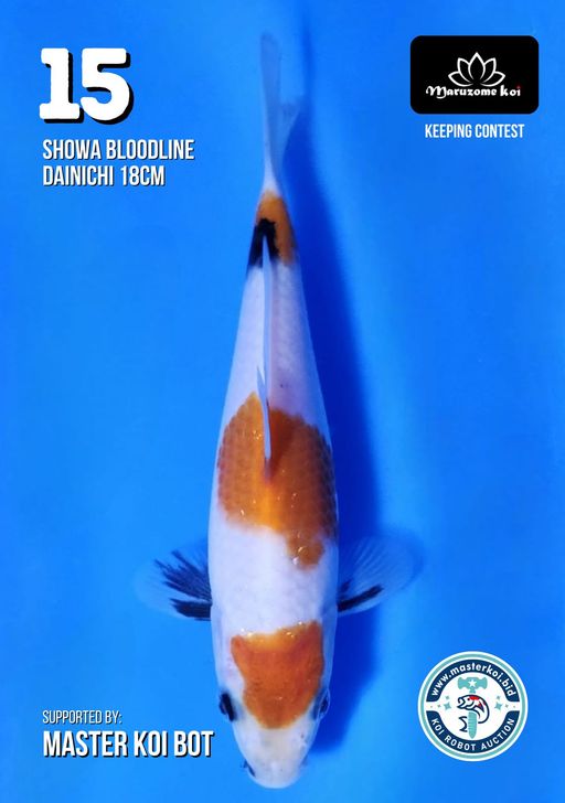 Lelang Koi Online, Jual Beli Ikan Koi, Pusat Jual Beli Koi, Info Lelang Koi Hari Ini, Platform Jual Beli Koi, Jual Beli Ikan Koi Online, Marketplace Ikan Koi, Jual Koi Terbaik, Tempat Beli Koi Berkualitas, Pasar Ikan Koi Online Terpercaya, Penjual Ikan Koi Terpercaya, Beli Koi Hias Online, Ikan Koi untuk Dijual, Koi Kualitas Terbaik, Toko Online Ikan Koi, Koi Hias Untuk Dijual, Jual Beli Ikan Koi Lokal, Koi Indonesia Online, Pusat Jual Beli Koi Terbesar