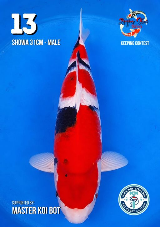 Lelang Koi Online, Jual Beli Ikan Koi, Pusat Jual Beli Koi, Info Lelang Koi Hari Ini, Platform Jual Beli Koi, Jual Beli Ikan Koi Online, Marketplace Ikan Koi, Jual Koi Terbaik, Tempat Beli Koi Berkualitas, Pasar Ikan Koi Online Terpercaya, Penjual Ikan Koi Terpercaya, Beli Koi Hias Online, Ikan Koi untuk Dijual, Koi Kualitas Terbaik, Toko Online Ikan Koi, Koi Hias Untuk Dijual, Jual Beli Ikan Koi Lokal, Koi Indonesia Online, Pusat Jual Beli Koi Terbesar