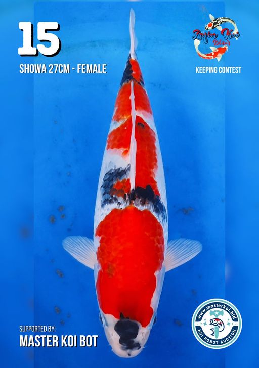 Lelang Koi Online, Jual Beli Ikan Koi, Pusat Jual Beli Koi, Info Lelang Koi Hari Ini, Platform Jual Beli Koi, Jual Beli Ikan Koi Online, Marketplace Ikan Koi, Jual Koi Terbaik, Tempat Beli Koi Berkualitas, Pasar Ikan Koi Online Terpercaya, Penjual Ikan Koi Terpercaya, Beli Koi Hias Online, Ikan Koi untuk Dijual, Koi Kualitas Terbaik, Toko Online Ikan Koi, Koi Hias Untuk Dijual, Jual Beli Ikan Koi Lokal, Koi Indonesia Online, Pusat Jual Beli Koi Terbesar