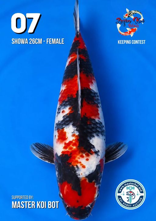 Lelang Koi Online, Jual Beli Ikan Koi, Pusat Jual Beli Koi, Info Lelang Koi Hari Ini, Platform Jual Beli Koi, Jual Beli Ikan Koi Online, Marketplace Ikan Koi, Jual Koi Terbaik, Tempat Beli Koi Berkualitas, Pasar Ikan Koi Online Terpercaya, Penjual Ikan Koi Terpercaya, Beli Koi Hias Online, Ikan Koi untuk Dijual, Koi Kualitas Terbaik, Toko Online Ikan Koi, Koi Hias Untuk Dijual, Jual Beli Ikan Koi Lokal, Koi Indonesia Online, Pusat Jual Beli Koi Terbesar