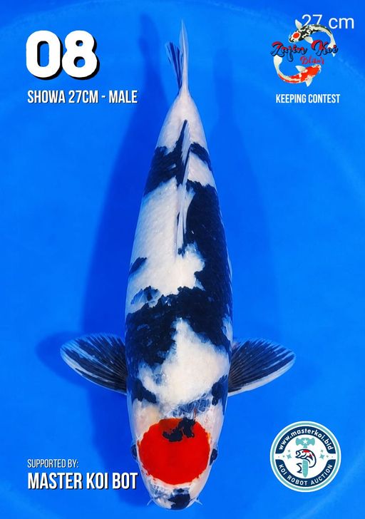 Lelang Koi Online, Jual Beli Ikan Koi, Pusat Jual Beli Koi, Info Lelang Koi Hari Ini, Platform Jual Beli Koi, Jual Beli Ikan Koi Online, Marketplace Ikan Koi, Jual Koi Terbaik, Tempat Beli Koi Berkualitas, Pasar Ikan Koi Online Terpercaya, Penjual Ikan Koi Terpercaya, Beli Koi Hias Online, Ikan Koi untuk Dijual, Koi Kualitas Terbaik, Toko Online Ikan Koi, Koi Hias Untuk Dijual, Jual Beli Ikan Koi Lokal, Koi Indonesia Online, Pusat Jual Beli Koi Terbesar