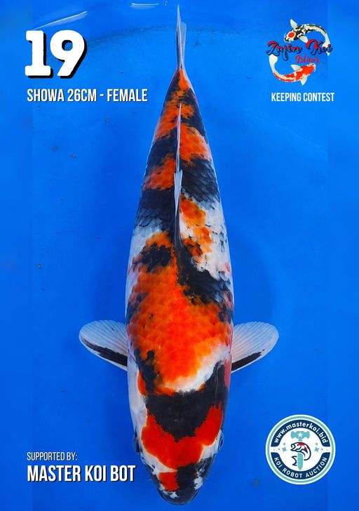 Lelang Koi Online, Jual Beli Ikan Koi, Pusat Jual Beli Koi, Info Lelang Koi Hari Ini, Platform Jual Beli Koi, Jual Beli Ikan Koi Online, Marketplace Ikan Koi, Jual Koi Terbaik, Tempat Beli Koi Berkualitas, Pasar Ikan Koi Online Terpercaya, Penjual Ikan Koi Terpercaya, Beli Koi Hias Online, Ikan Koi untuk Dijual, Koi Kualitas Terbaik, Toko Online Ikan Koi, Koi Hias Untuk Dijual, Jual Beli Ikan Koi Lokal, Koi Indonesia Online, Pusat Jual Beli Koi Terbesar
