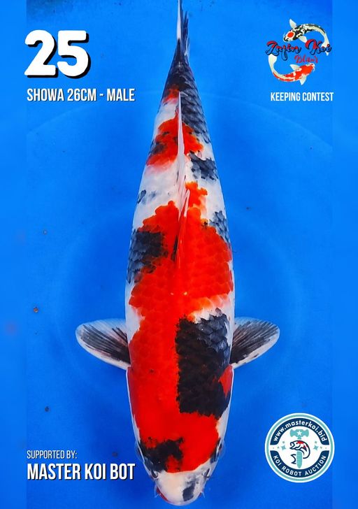 Lelang Koi Online, Jual Beli Ikan Koi, Pusat Jual Beli Koi, Info Lelang Koi Hari Ini, Platform Jual Beli Koi, Jual Beli Ikan Koi Online, Marketplace Ikan Koi, Jual Koi Terbaik, Tempat Beli Koi Berkualitas, Pasar Ikan Koi Online Terpercaya, Penjual Ikan Koi Terpercaya, Beli Koi Hias Online, Ikan Koi untuk Dijual, Koi Kualitas Terbaik, Toko Online Ikan Koi, Koi Hias Untuk Dijual, Jual Beli Ikan Koi Lokal, Koi Indonesia Online, Pusat Jual Beli Koi Terbesar